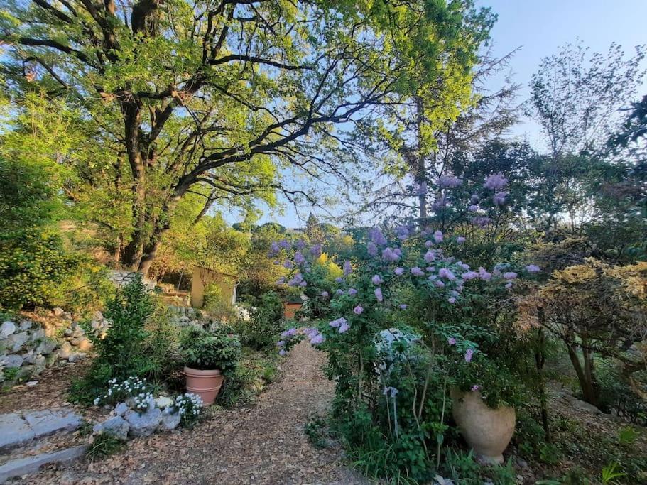 Domaine Des Petites Soeurs A 800M Du Centre Historique Avec 5200M2 De Parc Arbore Vence Exteriér fotografie